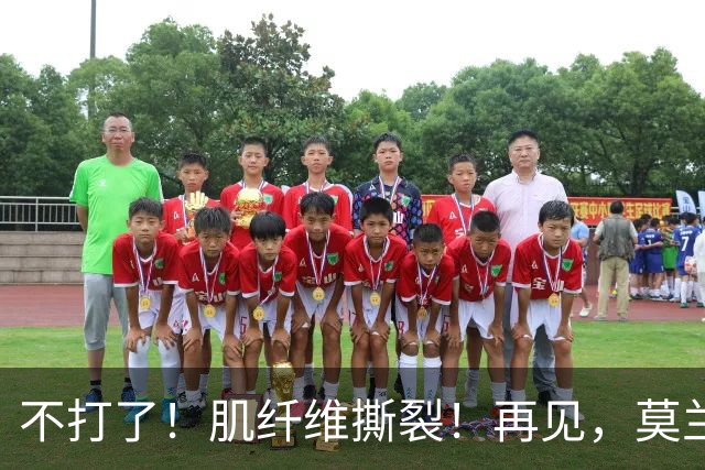 不打了！肌纤维撕裂！再见，莫兰特