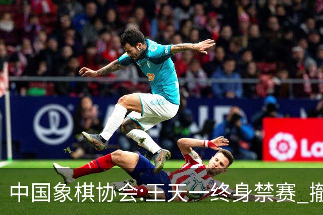 中国象棋协会:王天一终身禁赛 撤销特大等称号