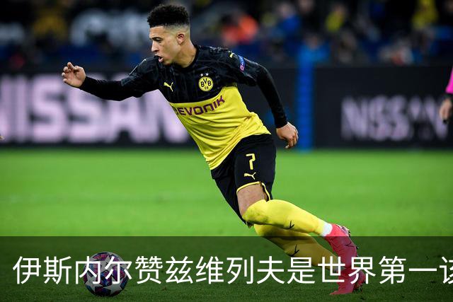 伊斯内尔赞兹维列夫是世界第一该有的样子，世界最好接发球员之一