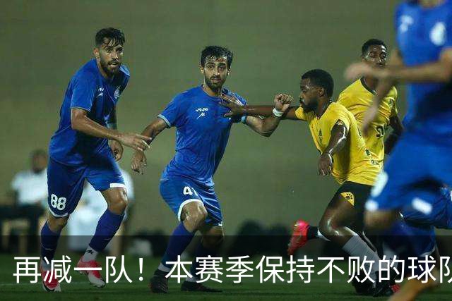 再减一队！本赛季保持不败的球队仅剩3支：火箭、灰熊、开拓者
