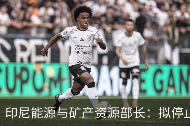 印尼能源与矿产资源部长：拟停止向不尊重印尼的国家供能