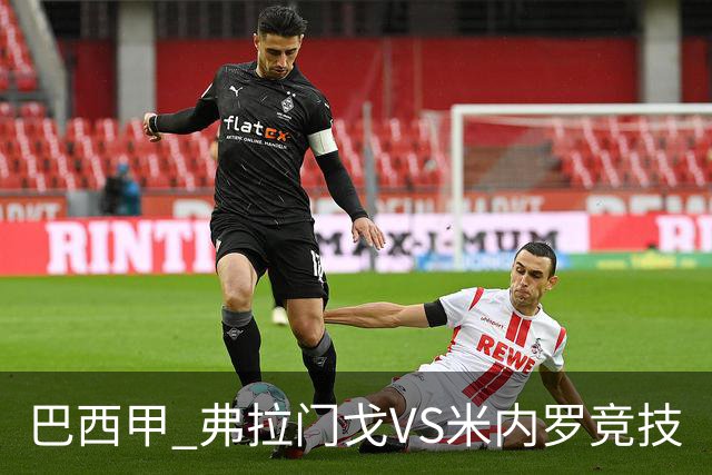 巴西甲 弗拉门戈VS米内罗竞技