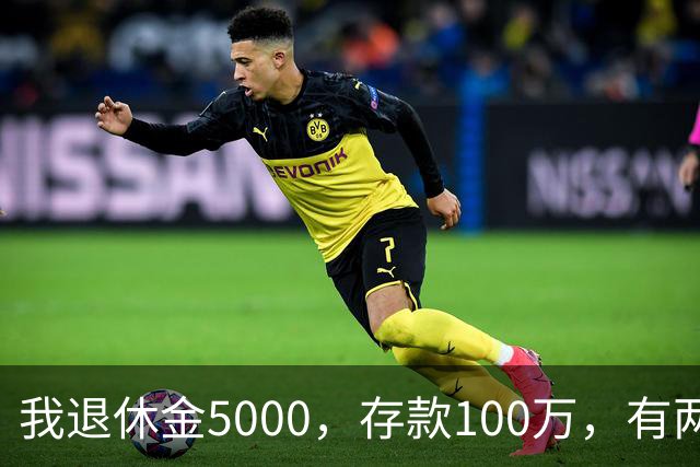 我退休金5000，存款100万，有两套房，35岁的儿子辞职专门照顾我
