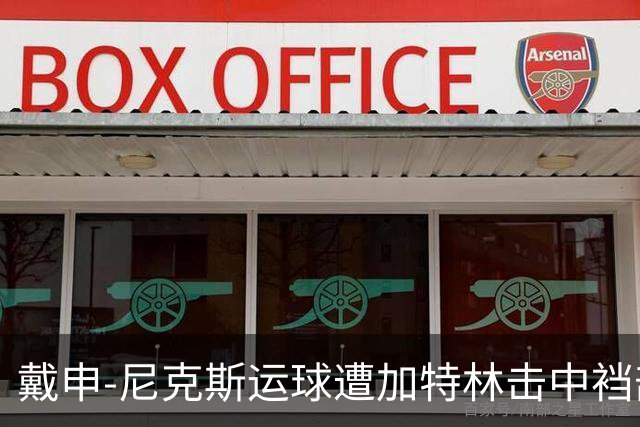 戴申-尼克斯运球遭加特林击中裆部，裁判回看后吹罚破坏性犯规