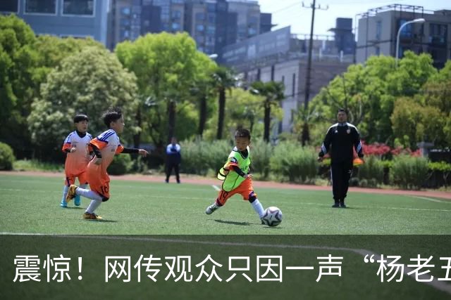 震惊！网传观众只因一声“杨老五”，相声演员杨议台上怒骂购票观众三分钟，逼其道歉